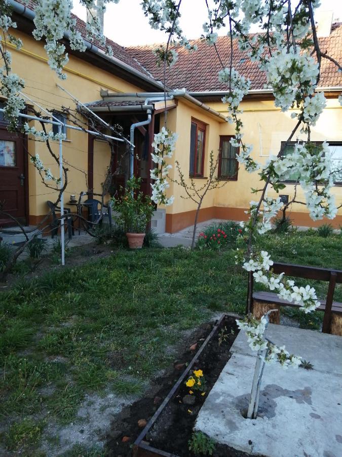 Harsfak Villa Mezokovacshaza ภายนอก รูปภาพ