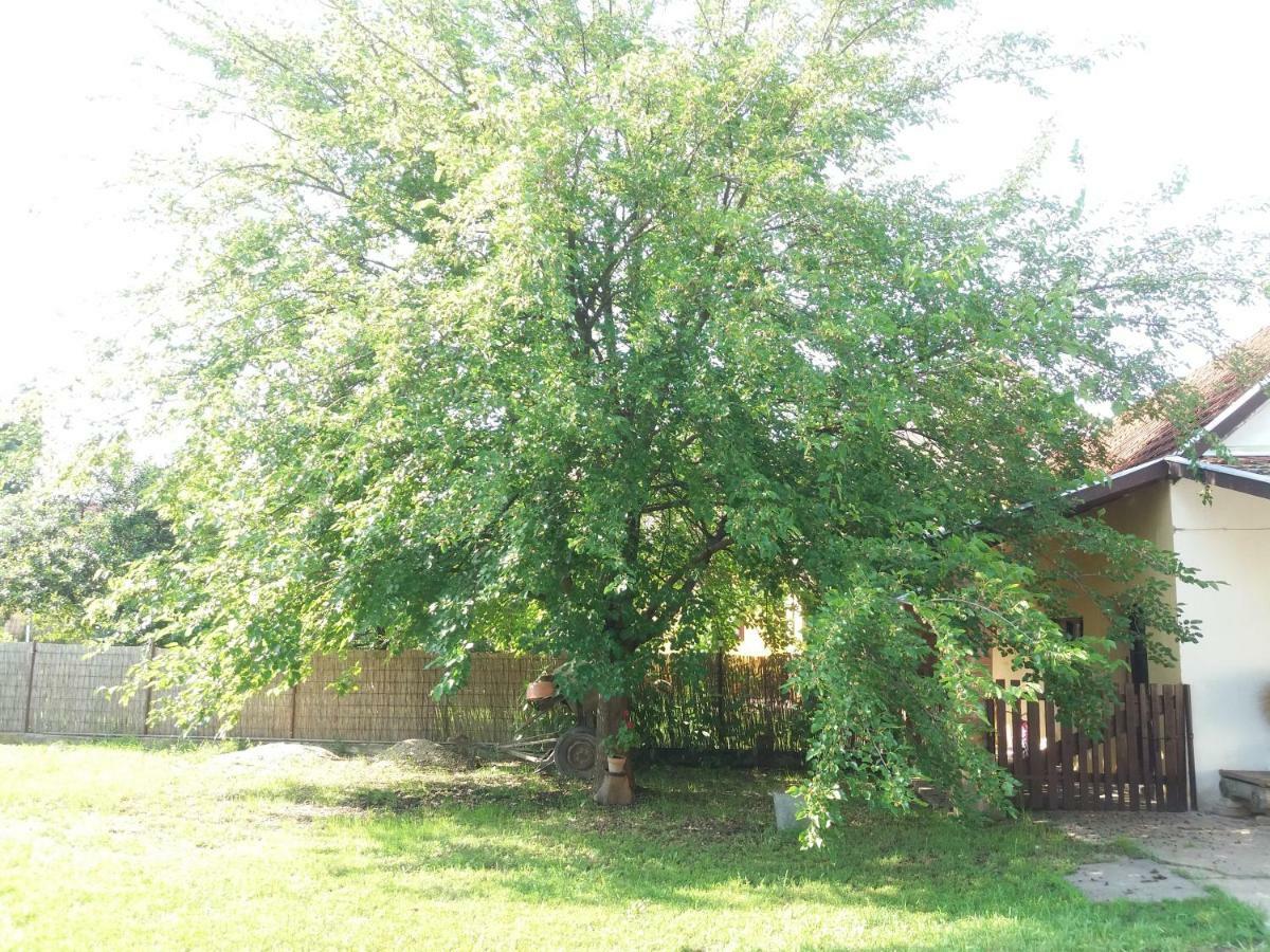 Harsfak Villa Mezokovacshaza ภายนอก รูปภาพ